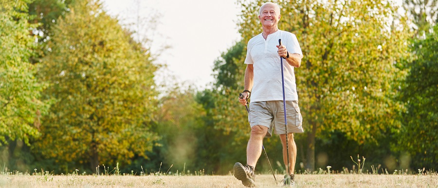 Walking: Your Way to Physical Therapy Success